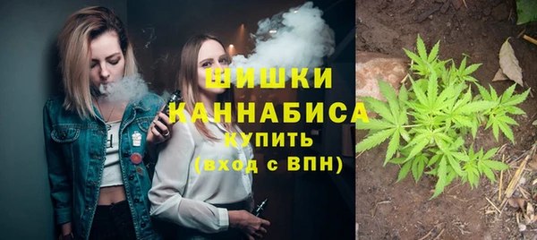 мяу мяу мука Новозыбков