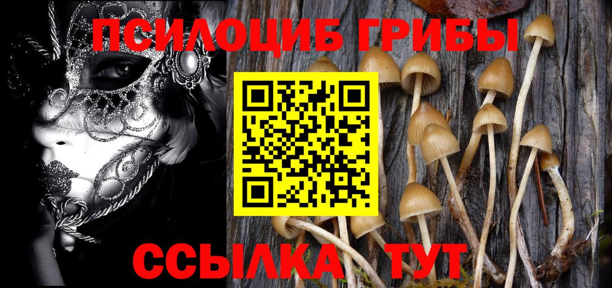 Галлюциногенные грибы Psilocybe  Вход с VPN  Лиски  Галлюциногенные грибы Cubensis 