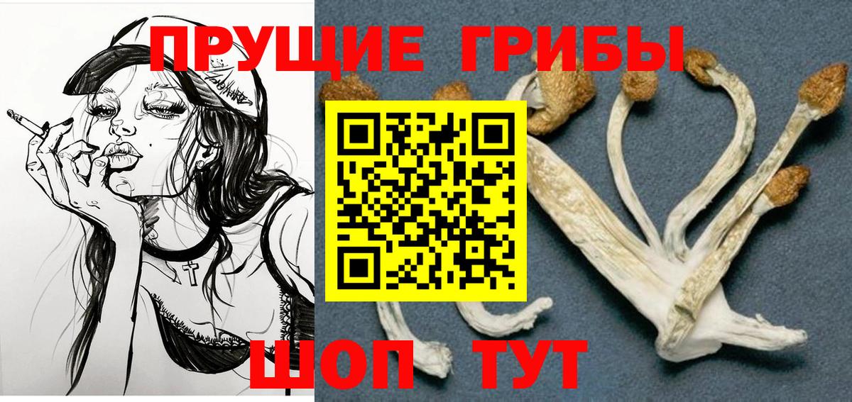 Псилоцибиновые грибы Cubensis Лиски